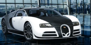 Bugatti Veyron by Mansory Vivere