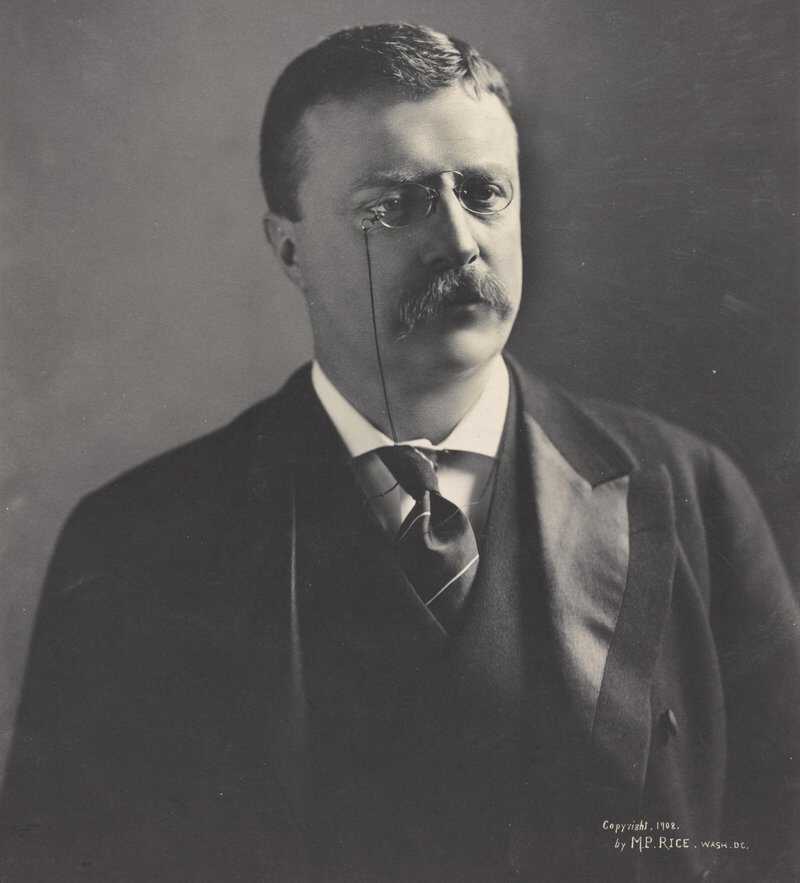 Theodore Roosevelt